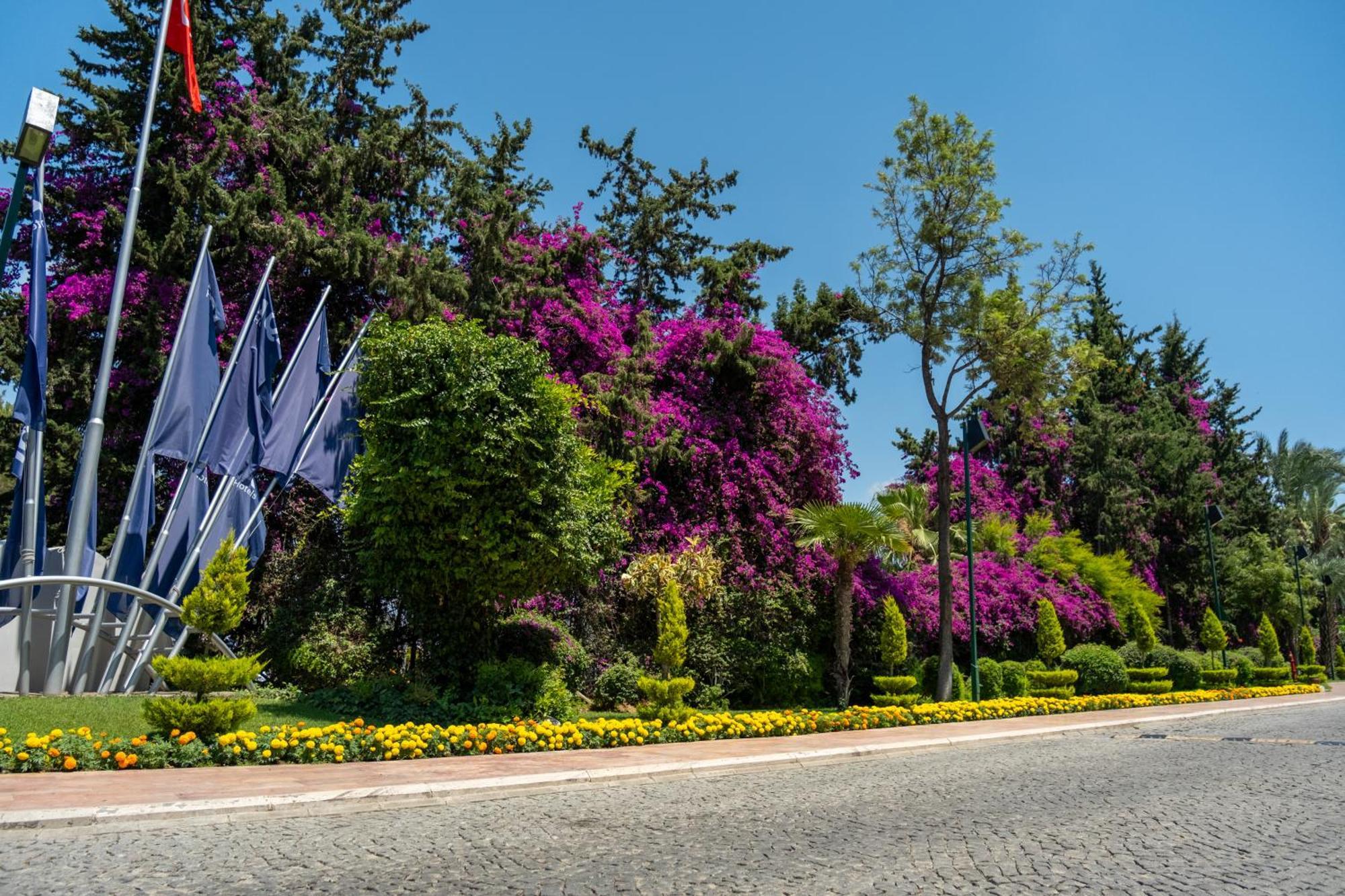 Aqi Pegasos Resort Avsallar Exterior foto